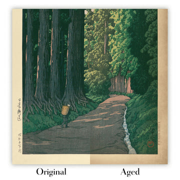 Image showing the difference between Original and Aged tones
