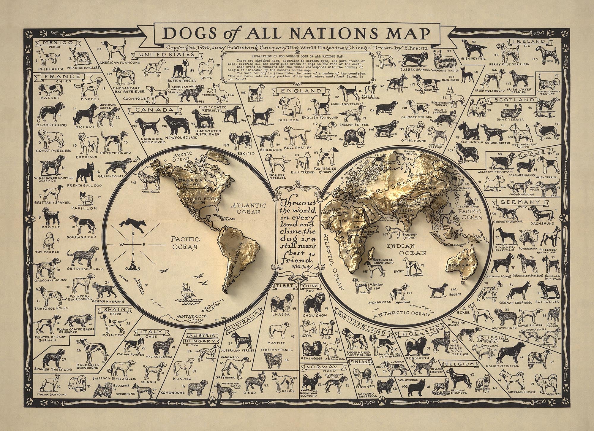 Map Of Dogs Old Dog Map, 1936 - World Atlas Chart of Breeds - Terrier, Bulldog, Pu ...
