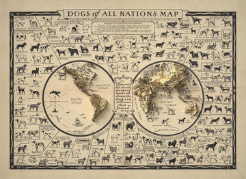 Image showing the difference between the Original and Unique 3D version of the product