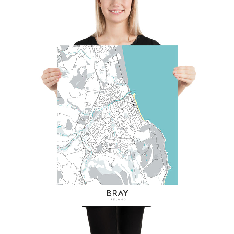 Mappa moderna della città di Bray, Irlanda: Bray Head, Porto di Bray, Riserva Naturale di Bray Head, N11, R117 