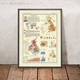 Mappa infografica antica delle Isole Britanniche, 1967: Densità di popolazione, Variazione climatica, Statistiche sull'occupazione 