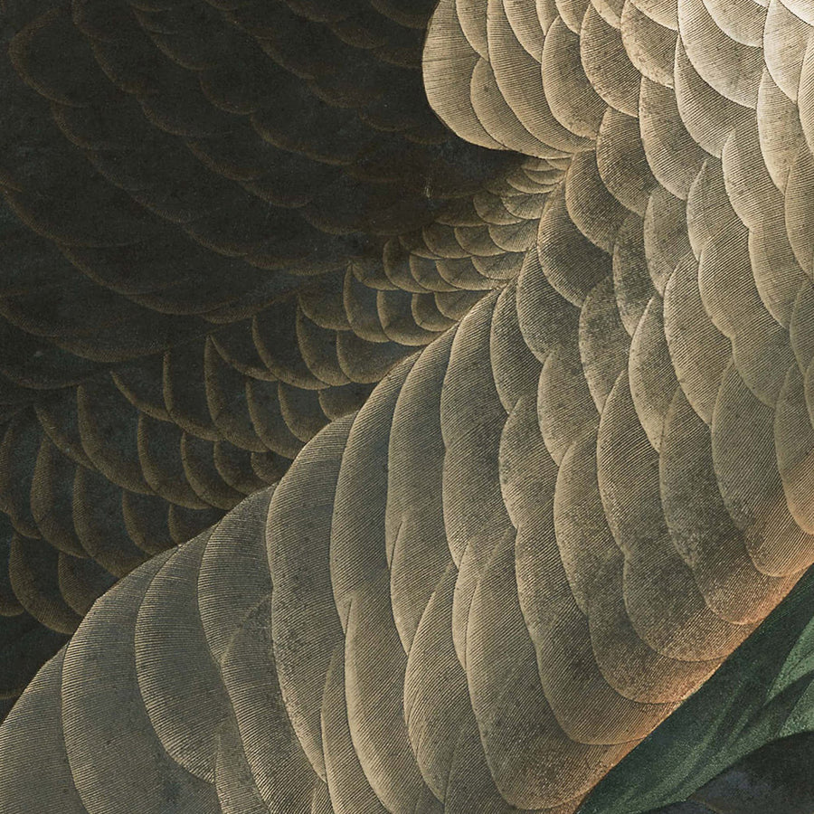 Canada Goose di John James Audubon, 1827 
