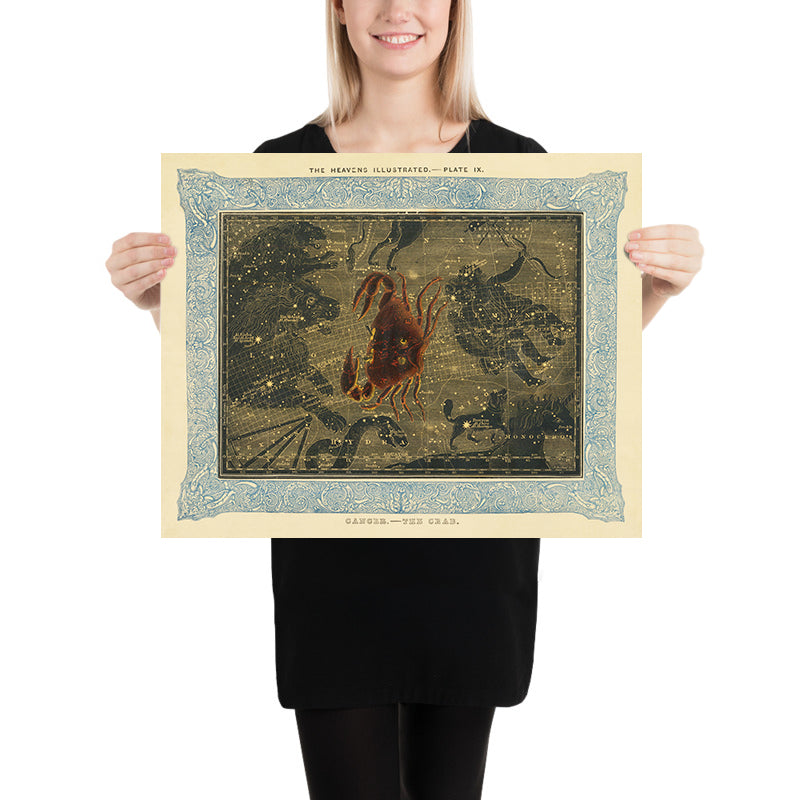 Cancro, Il Granchio di Duncan Bradford, 1837 