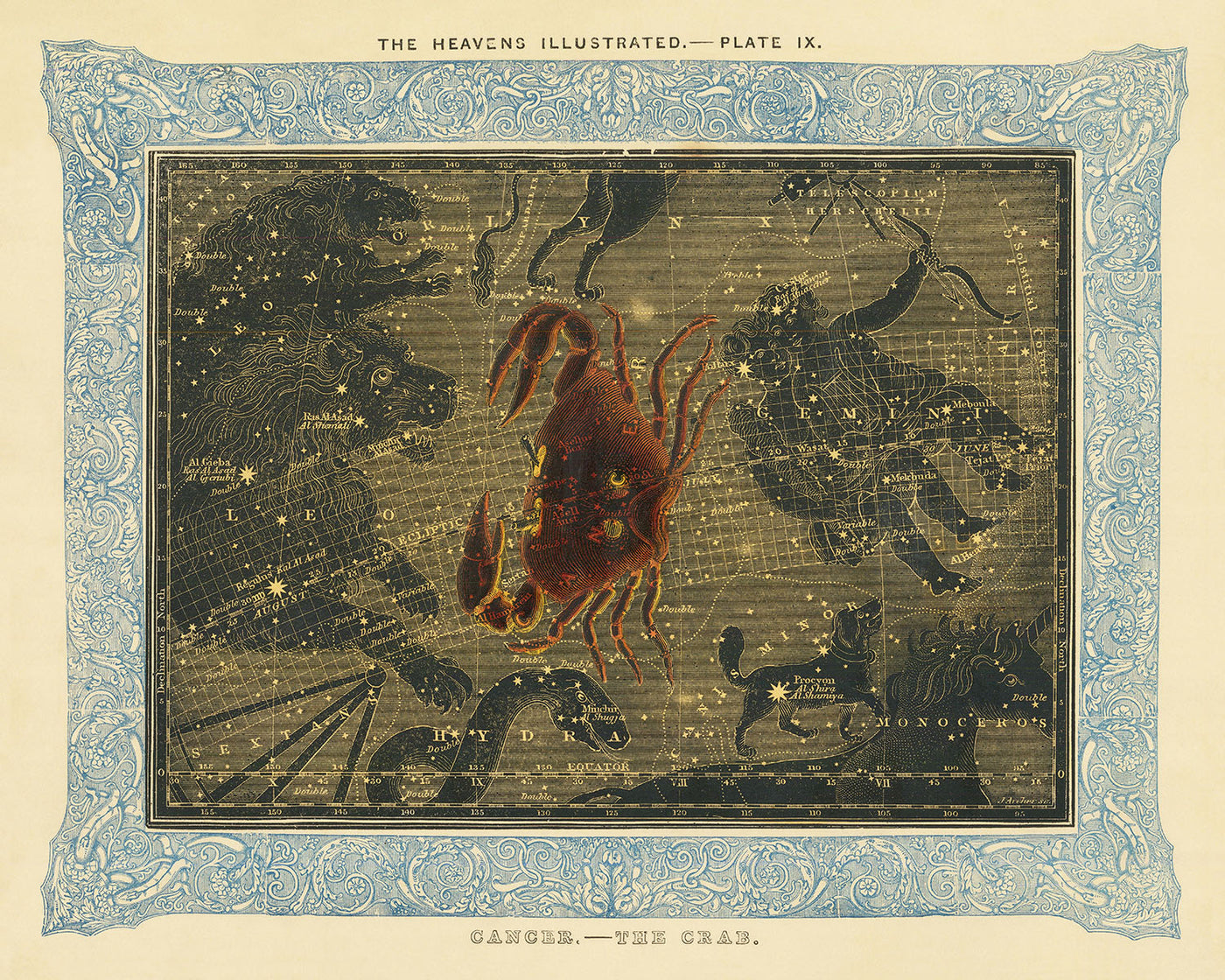 Cancer, The Crab by Duncan Bradford, 1837