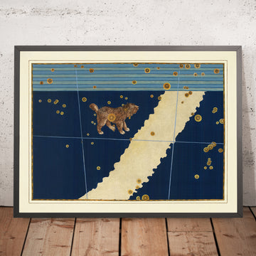 Antica mappa stellare del Cane Minore di Johann Bayer, 1603 - Carta delle costellazioni celesti 