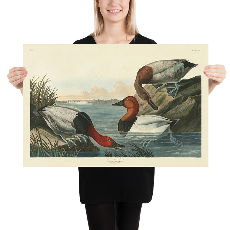 Anatra con supporto in tela da &