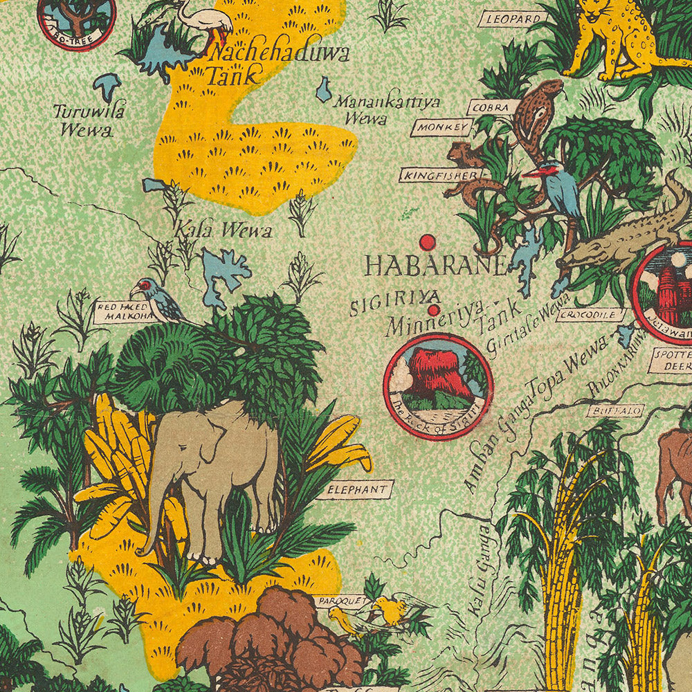 Alte Bildkarte von Sri Lanka von Gill, 1933: Elefanten, Tee, Colombo, Adam's Peak, Dschungelszenen