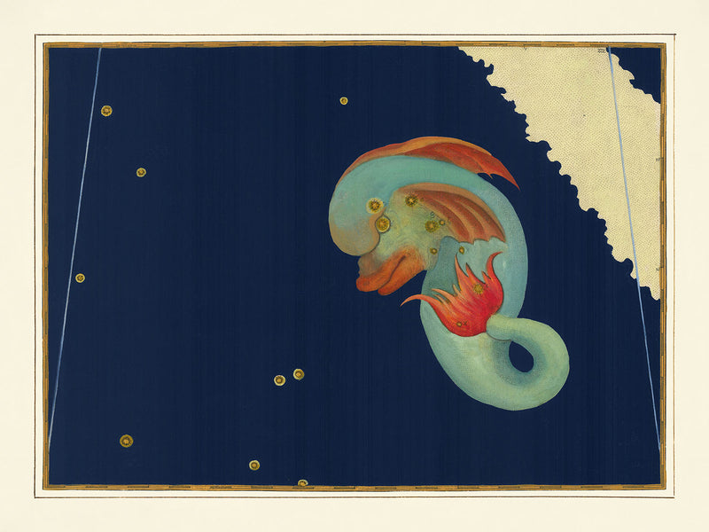 Visualiser thumbnail artwork