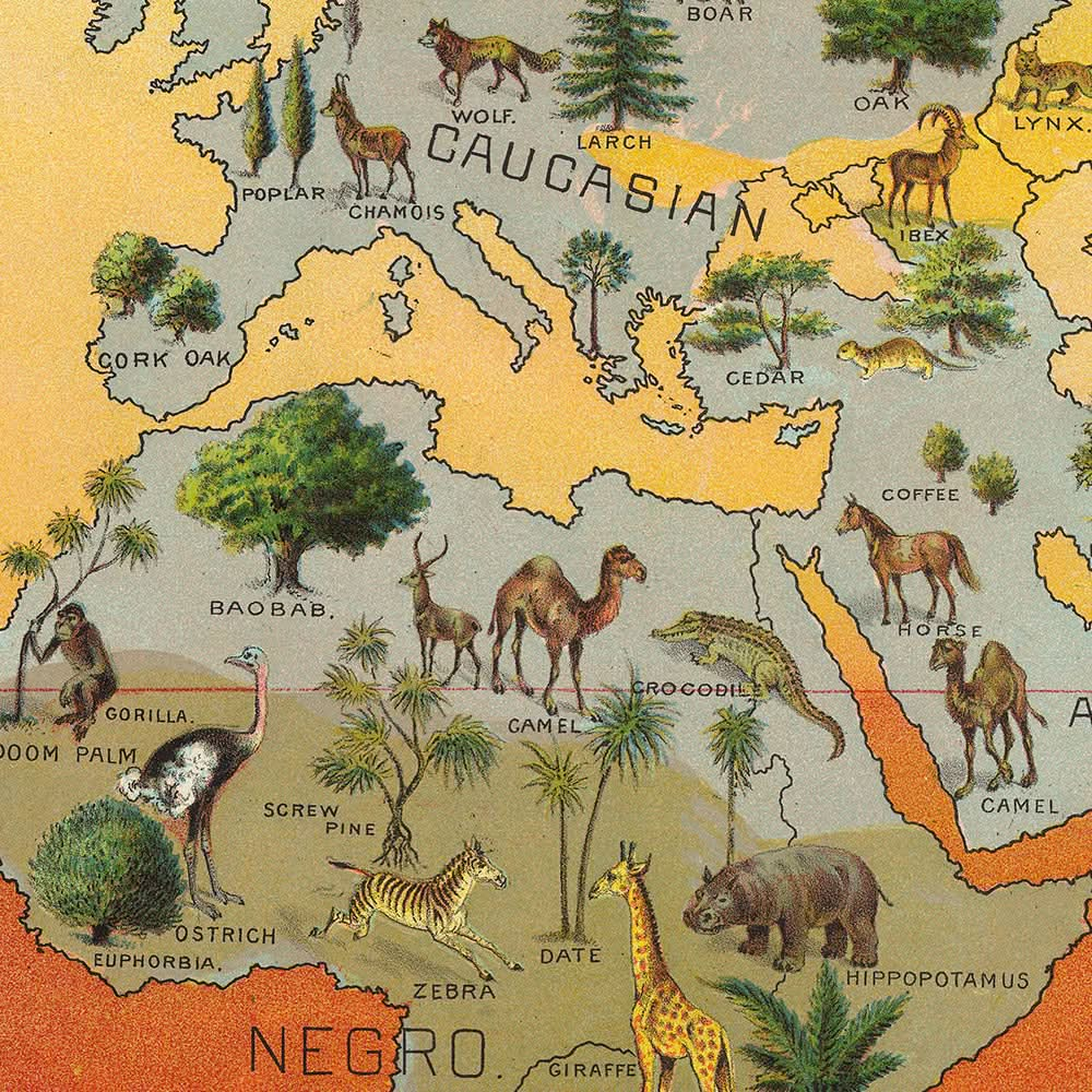 Carte climatique du monde : répartition des races humaines, des animaux et de la végétation (1893) par Levi Walter Yaggy