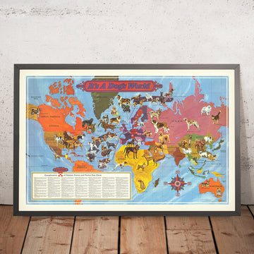 Mappa del mondo delle razze canine illustrata di Langeneckert, 1968 
