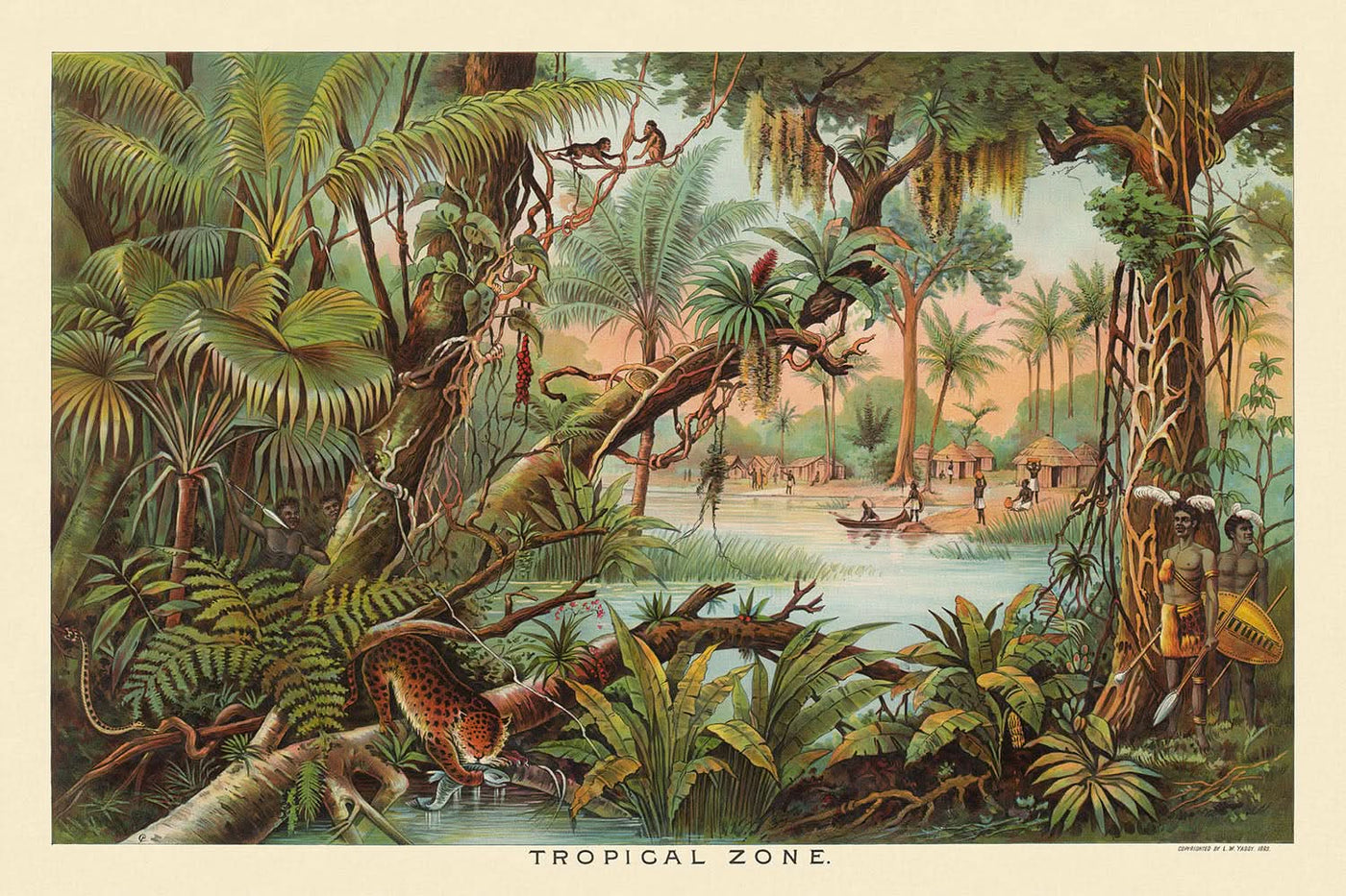 Zona tropical de Levi Walter Yaggy, 1893