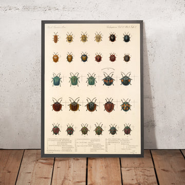 A framed image of 
