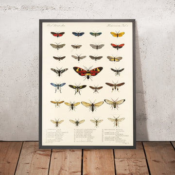 A framed image of 