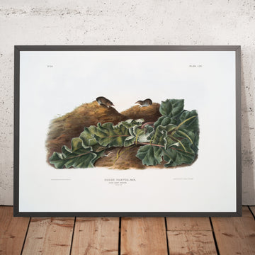 A framed image of 