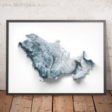 Mappa topografica in rilievo 3D dei Paesi del Golfo 