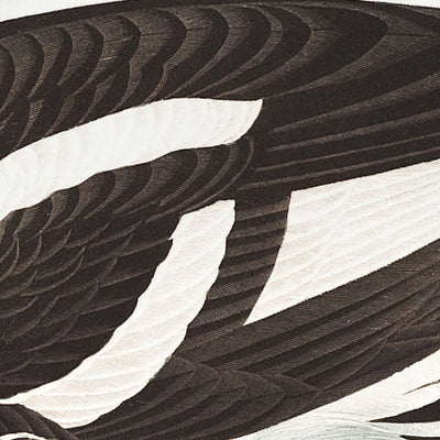 Golden-Eye Duck (Tafel 403) von John James Audubon, 1827