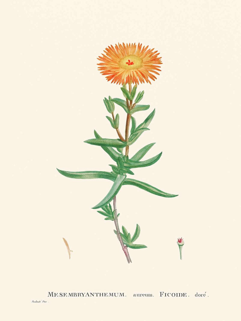 Visualiser thumbnail artwork