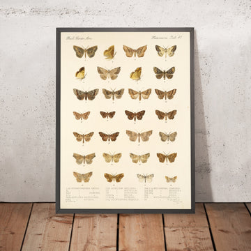A framed image of 