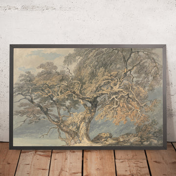 A framed image of A Great Tree by Turner (A Great Tree) 1796