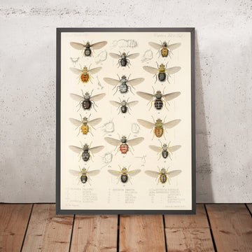 A framed image of 
