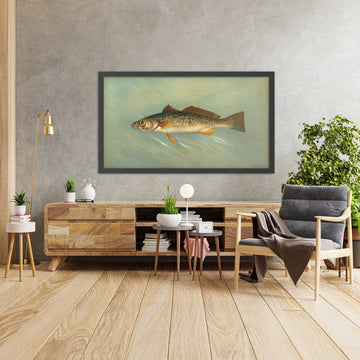 A framed image of 