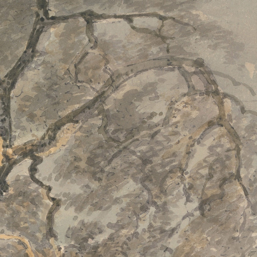 A Great Tree by Turner, 1796