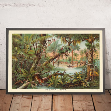 Zona Tropical de Yaggy, 1893 