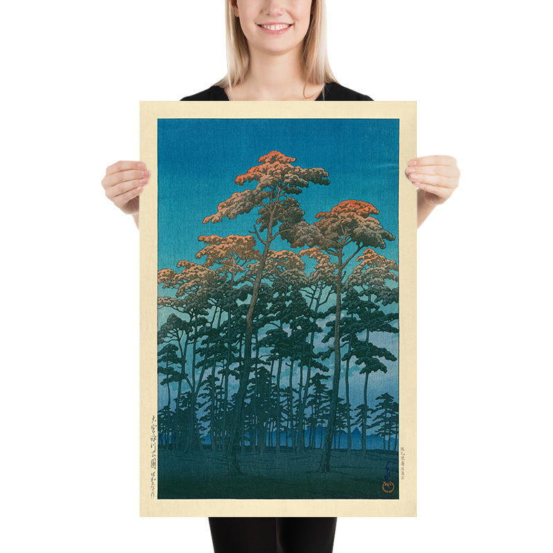 Hikawa Park in Omiya von Hasui Kawase, 1935 