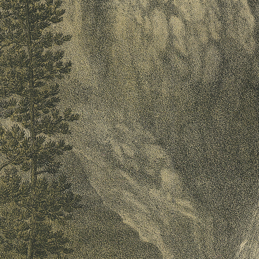 Les Grandes Chutes du Yellowstone par Kurz & Allison, 1885 