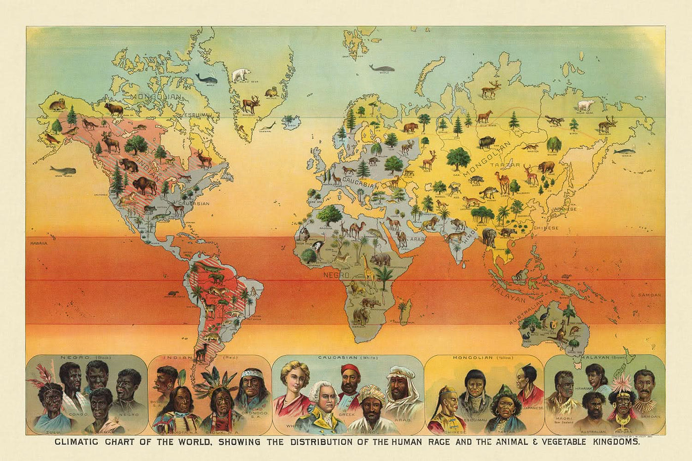 Carte climatique du monde : répartition des races humaines, des animaux et de la végétation (1893) par Levi Walter Yaggy