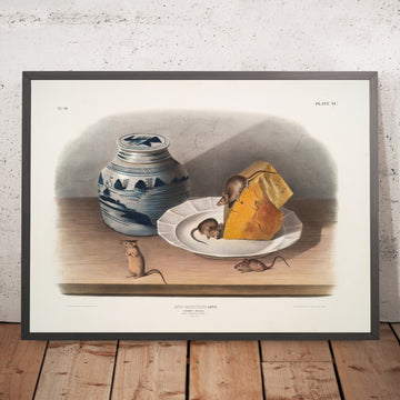 A framed image of 