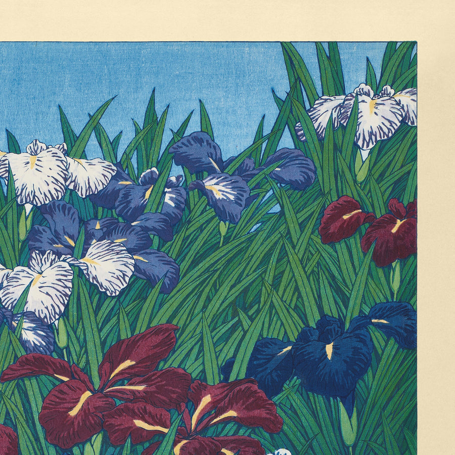 Iris di Hasui Kawase, 1935 