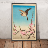Skylark in Flight above Blossoming Peach by Ohara Koson, 1931