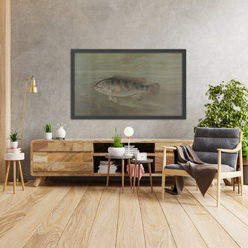A framed image of 