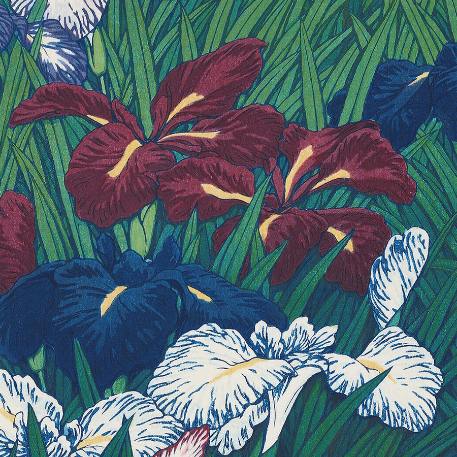 Iris di Hasui Kawase, 1935 