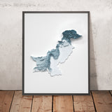 Mappa topografica in rilievo 3D del Pakistan 
