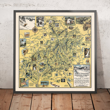 Old Pictorial Map of White Mountain National Forest, 1930: Cannon Mt., Appalachian Trail, Franconia Notch, Mt. Washington, Conway