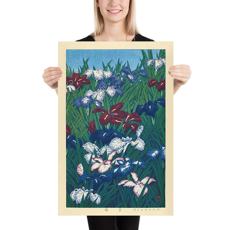 Iris di Hasui Kawase, 1935 