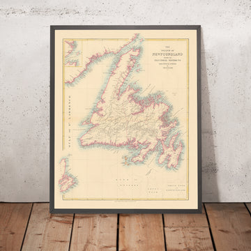 Old Map of Newfoundland by Arrowsmith, 1884: St. John&