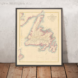 Ancienne carte de Terre-Neuve par Arrowsmith, 1884 : St. John's, Grand Banc, baie de Trinity, rivières, circonscriptions électorales 