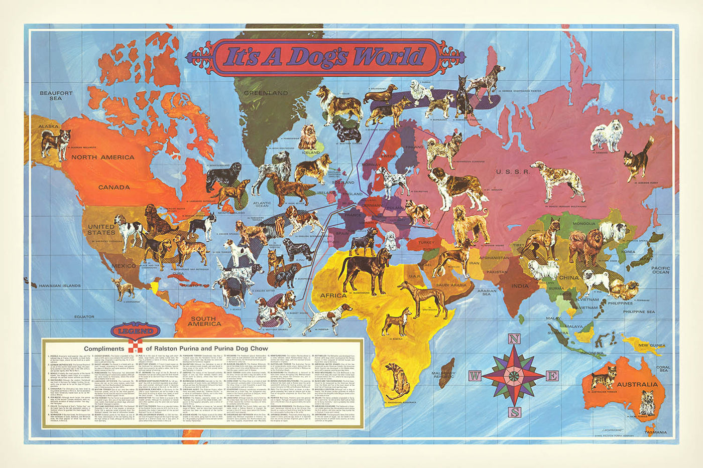 Pictorial Dog Breed World Map by Langeneckert, 1968