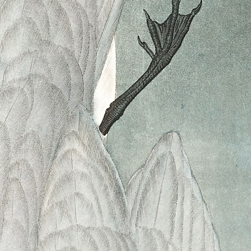 Sumpfseeschwalbe von John James Audubon, 1827