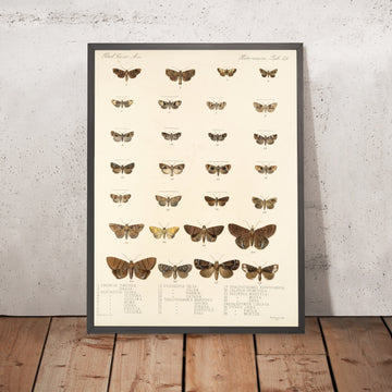 A framed image of 