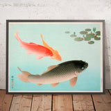 Common and Golden Carp by Ohara Koson, 1935