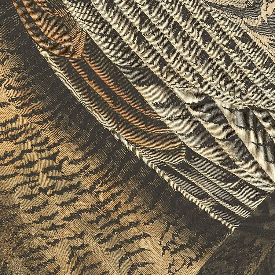 Gufo cornuto maggiore di John James Audubon, 1827 