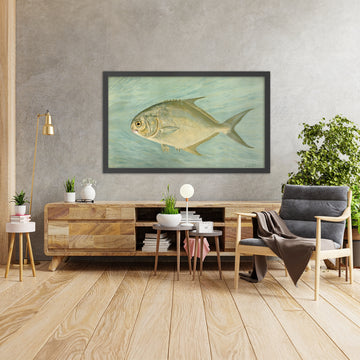 A framed image of 