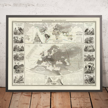 Mappa del Vecchio Mondo della distribuzione degli uccelli di Johnston, 1856: zone biogeografiche, carta degli uccelli europei 
