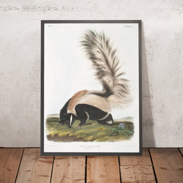 A framed image of 