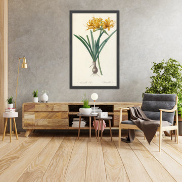 A framed image of Amaryllis aurea by Pierre Joseph Redouté, 1802