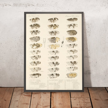 A framed image of 
